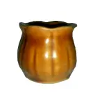 Water pot ( ceramic )12